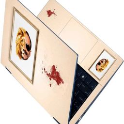 Flipkart SmartBuy Full Body Laptop Skin for Laptops Upto 15.6 Inch - Ranga AV4 HD Sticker No Residue Removable Self Adhesive Vinyl Laptop Decal 15.6-image-68