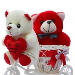 2 Teddy bears on Tricycle, Symbol of Love- 38-picture-22