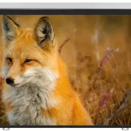 Inlight Universal Wall Type 84 inches Diagonal 4:3 Picture Aspect Ratio 6 Ft x 4 Ft Pull Down Spring Action No Autolock Projector Screen, 1080P-UHD-3D-4K Compatible(White) Projector Screen (Width 183 cm x 122 cm Height)-4