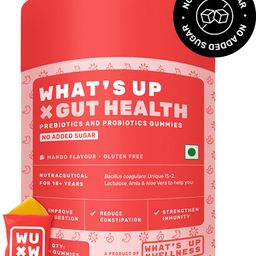 what's up wellness Gut Health Gummies | Pre & Probiotic Patented Strain | No Added Sugar-picture-35