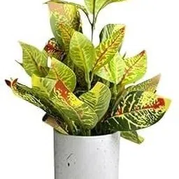 Artificial Plant | Small Faux Rubber Plant Artificial Plant with Pot-image-17