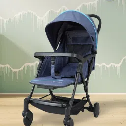 Speedy Stroller-picture-16
