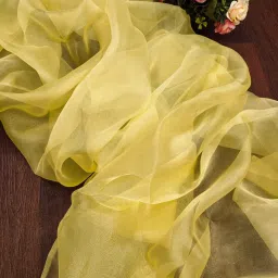 Unstitched Organza Multipurpose Running Fabric Solid-image-94
