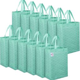 Pack of 12 Grocery Bags-image-55