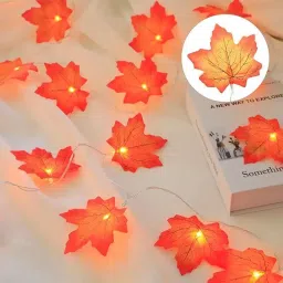 14 LEDs 3 m Gold Steady Leaf Rice Lights-27