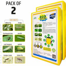 Yellow / Blue Sticky Trap A4 Size Pack of 2 (20 Pieces)-image-2