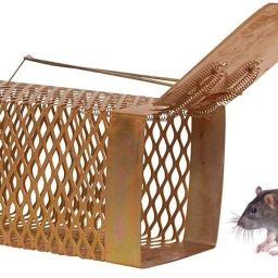 Iron Rat Trap/Rodent cage/Mouse/Ghoos/Squirrel Control Golden 1 Piece (Diamond) Live Trap-picture-13