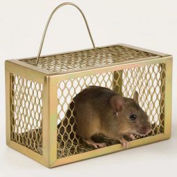 RT 1 Live Trap-image-69