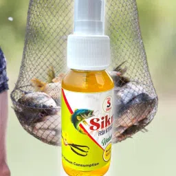 Vanila flavor Scent Fish Bait-picture-13