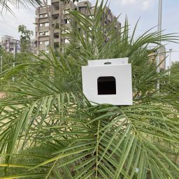 Corrugated Cardboard This bird house has 5 cm entrance hole so that birds like Sparrow, Packaging Box-image-72