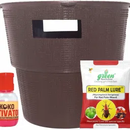 Pheromone Trap & Lure for Red Palm Weevil (Rhynchophorus ferrugineus)-image-14