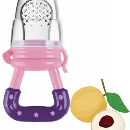 SST Sales Baby Food And Fruit Nibbler & Pacifier Teether BPA Free Nibbler NH234 Feeder-picture-19