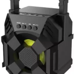 RECTITUDE Extra Bass Speaker, Supports TF/SD Card/USB 10 W Bluetooth Party Speaker-image-38