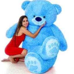 Soft Plush Huggable Giant Teddy Bear for Gift for Girl/Boy/Kids/Everyone - 30 cm-image-74