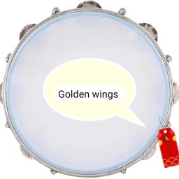 abc 25.4 cm With Head Tambourine image 2