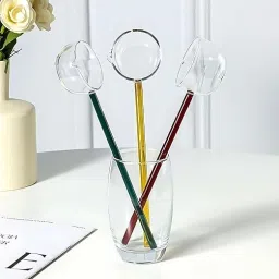 Serving Spoon Set for Dining -Glass Serving Spoon with Long Colored Handle | Bone China Serving Spoon Set-61