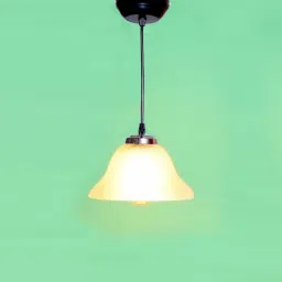 Pendants Ceiling Lamp-picture-9