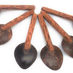 Coconut Shell Masala Spoon Set of 6 for Small Containers | Handmade & Eco-Friendly | for Tea, Coffee, Sugar, Spices Wooden Sugar Spoon Set-13
