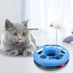 Happy Kitten Cat Circle with Ball and Catch The Mouse Motion Toy Plastic Soft Toy For Cat-image-95