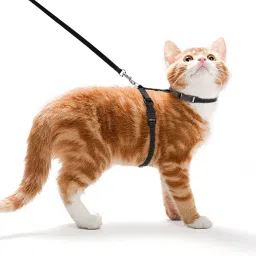 Cat Harness Leash Nylon Set for Cat Rabbit Kitten and Small Pet Nylon Harness Strap Collar /Cat Training Leash Lead (Black) Cat Harness & Leash-image-34