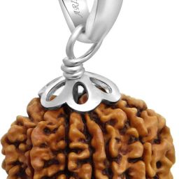 11 mukhi NEPALI rudraksha Silver Wood Pendant-image-21