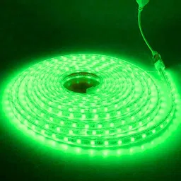 3 m Green Rice Lights-15
