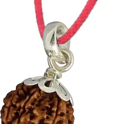 5 Mukhi Rudraksha Five face Panchmukhi Rudraksha Nepali with Lab Certificate Silver Wood Pendant-19