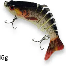 Hard Bait Plastic Fishing Lure-image-85