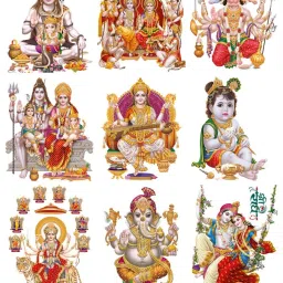 61 cm Home Decoration Wall 907 Self Adhesive Sticker-image-31