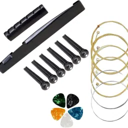 Electric Acoustic Guitar Strings Set with Black Saddle Set for All Type of Guitar Guitar String-6