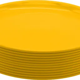 Unbreakable Round Full Dinner Plates for Dining Table,Kitchen Dinner Set Dinner Plate-9
