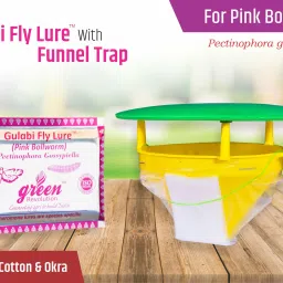 Funnel Trap With Gulabi Fly Lure Combo Pack-image-73