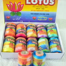 Multi Color Silk Thread-18