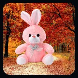 Super Soft Bunny Teddy bear Soft Toy For Kids_NEW1 - 35 cm-image-96