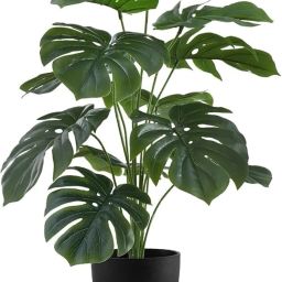 Badshah123V Artificial Plant-image-67