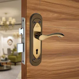 Iron Glossy Handlesets-16