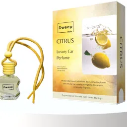 Citrus Car Freshener Diffuser-16