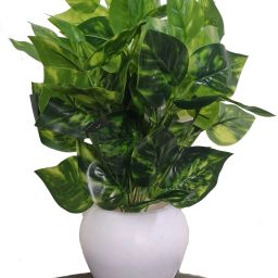 Natural Looking Money Plant Bonsai Artificial Plant with Pot-20
