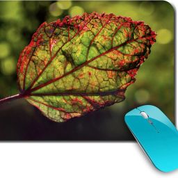 whats your kick Nature | Natural | Earth | Colorful |Creative | Printed Mouse Pad/Designer Waterproof Coating Gaming Mouse Pad For Computer/Laptop (Multi6) Non Slip Base Mousepad-image-6
