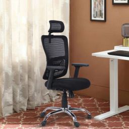 mintwud from pepperfry Align Pro Ergonomic Office Chair with Adjustable Lumbar Support and Headrest in Black Colour-picture-3