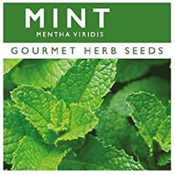 Mint Seed-image-64