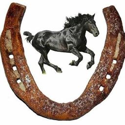 10 YEARS OID BLACK HORSE SHOE NAIL RING Iron Yantra Decorative Showpiece - 9 cm-11