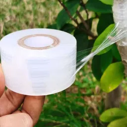 GreenHut Grafting Tape for Plants, (2 inch) Self Adhesive Grafting Tapes (Manual)-image-48