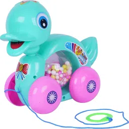Rolling Duck-Colour As Per Stock-image-47