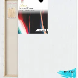 15 X 22 PRE STRETCHED CANVAS Cotton Medium Grain Stretched Canvas Board (Set of 1)-14