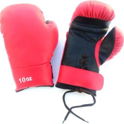 Professional Boxing Gloves with Elastic Band and Laces for extra comfort (10 OZ) Boxing Gloves-image-40