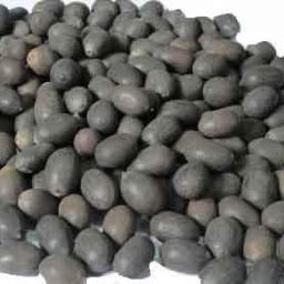 Kamal Gatta Seed-image-8