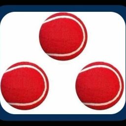 New-New-Tennis _172Pack of 6 Tennis Ball-image-70