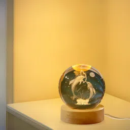3D Dolphin Crystal Ball Night Light Table Lamp Study Lamp-14