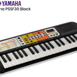 yamaha PSS-F30//IN PSS-F30//IN Digital Portable Keyboard image 2